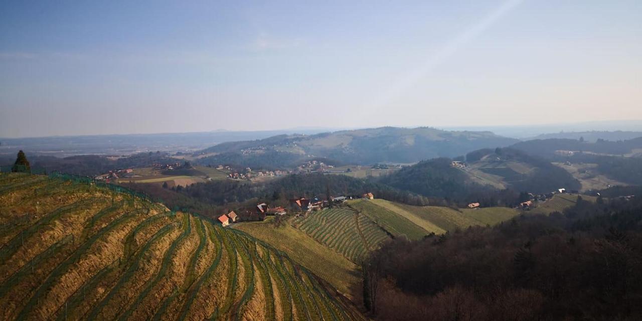 Weingut Albert, Familie Cramer Bed and Breakfast Kitzeck im Sausal Exteriör bild